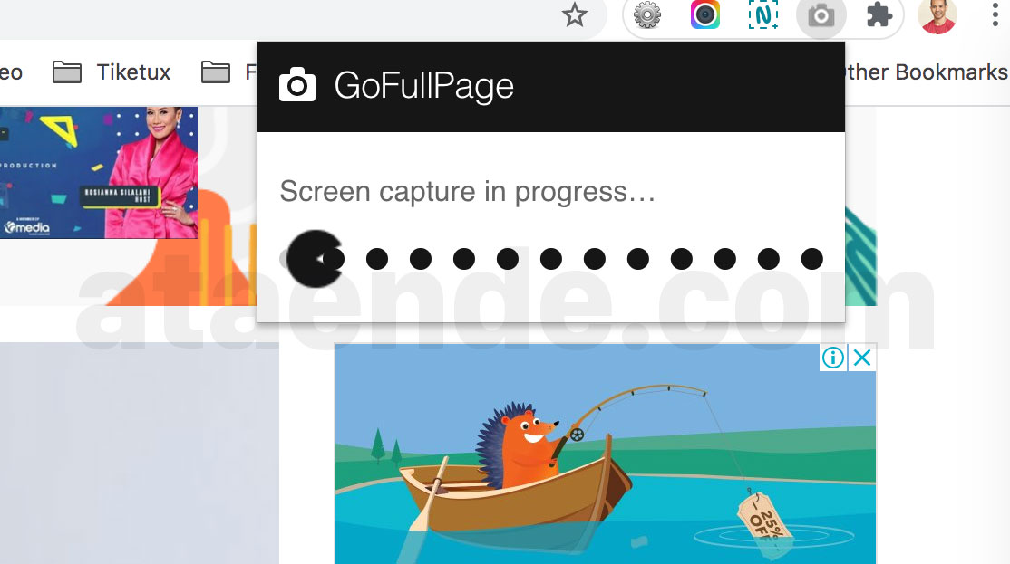GoFullPage - Full Page Screen Capture